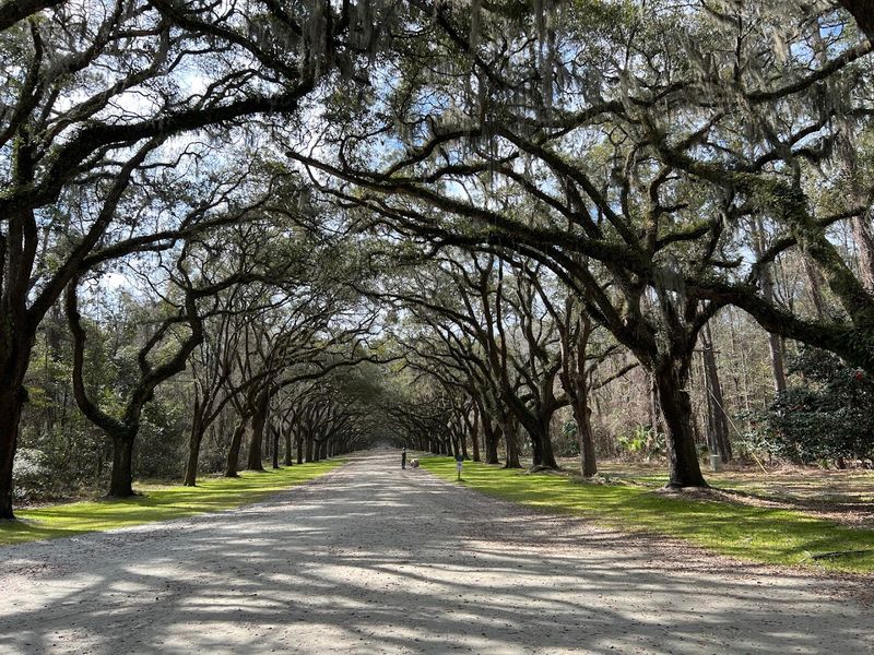 Wormsloe Historic Site, Savannah