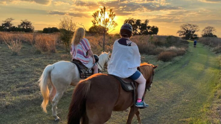 11 Horseback Riding Spots in Florida Perfect for Family Weekends Outdoors