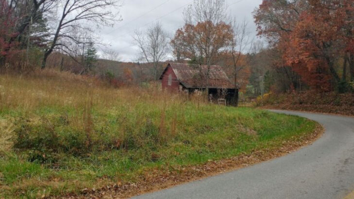 11 Insanely Beautiful Roads in Georgia That Will Make You Pull Over Constantly