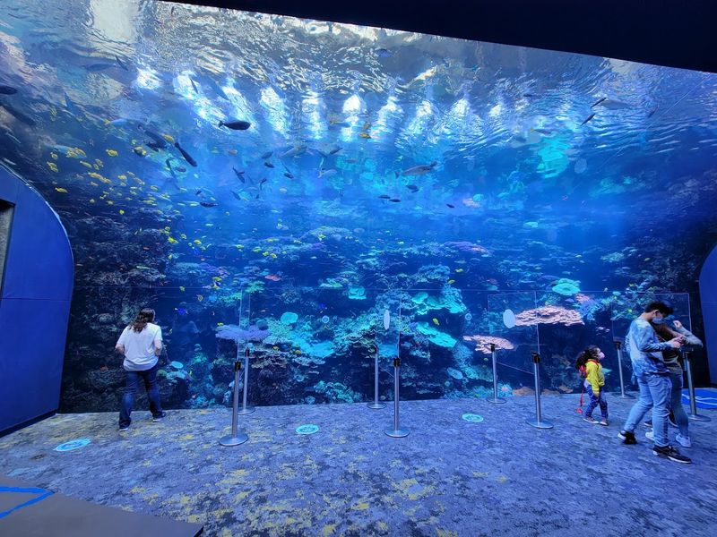 Georgia Aquarium (Atlanta)