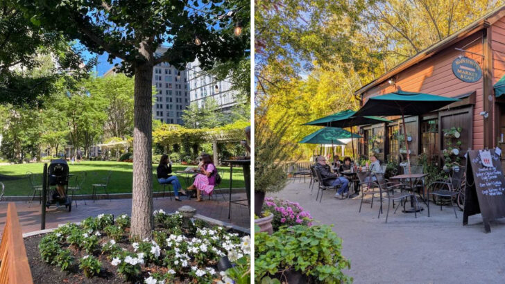 11 Massachusetts Patio Cafés That Feel Like Hidden Garden Escapes
