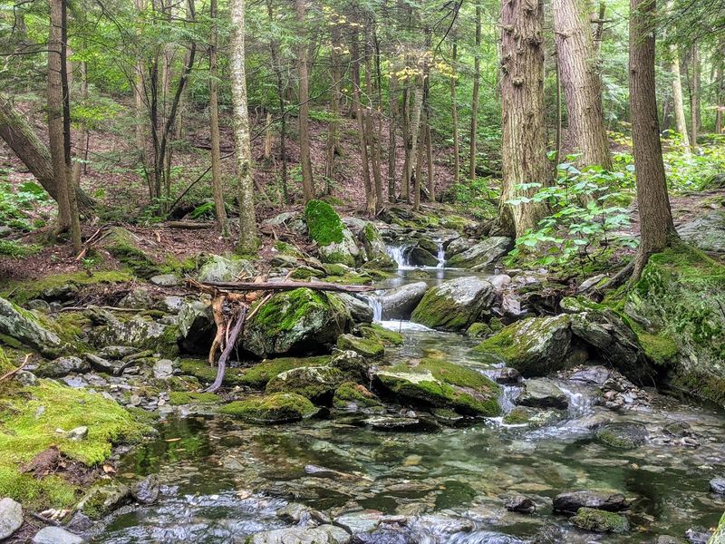 Race Brook Falls Trail