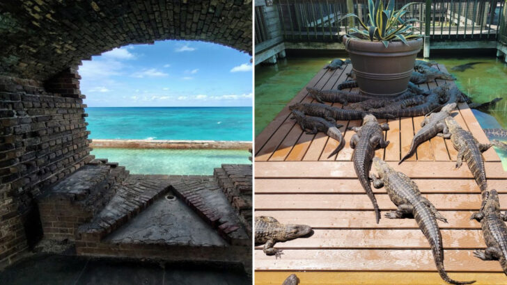 11 Mind-Blowing Attractions in Florida That Feel Too Amazing to Be Real