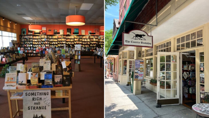11 North Carolina Bookstores Where Staff Picks Feel More Personal Than Online Recommendations
