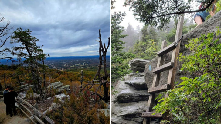 11 North Carolina Hiking Trails That Feel Almost Too Beautiful to Be Real