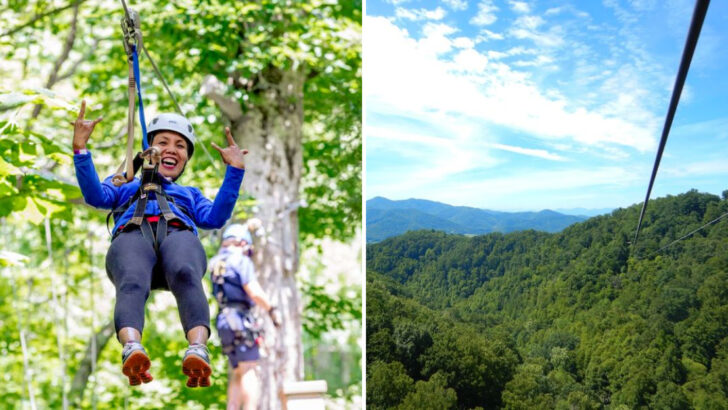 11 North Carolina Zipline Courses With Mountain Views and Surprisingly Relaxed Atmospheres