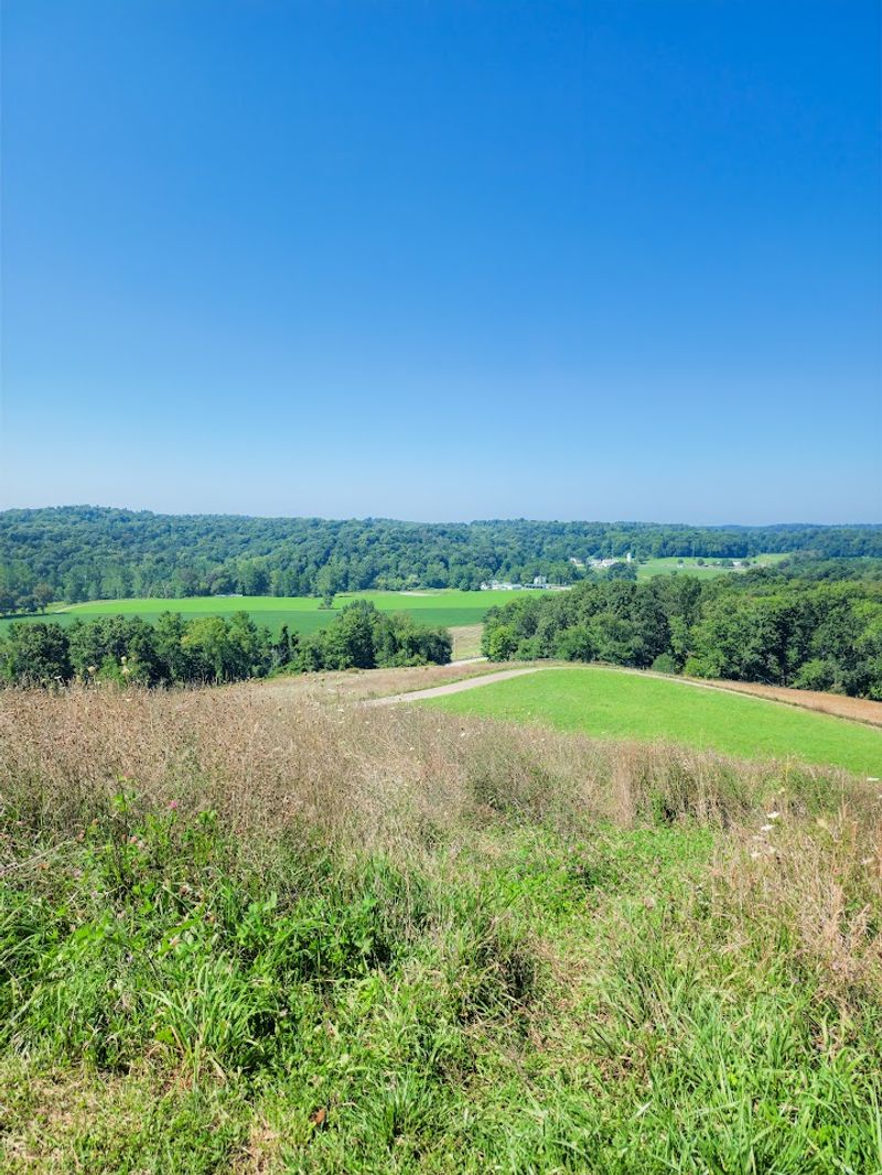 Mount Jeez Overlook (Malabar Farm State Park)