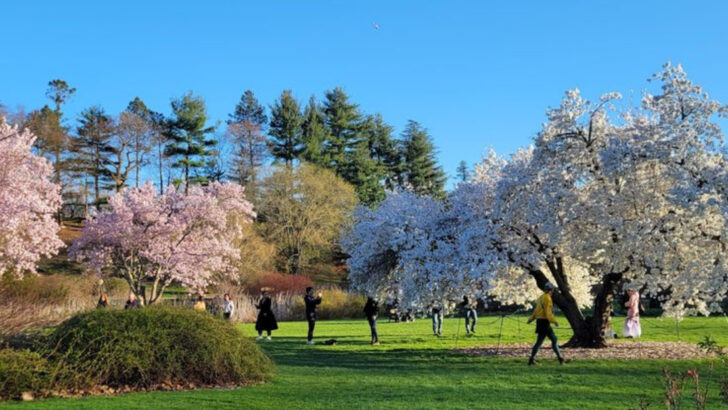 11 Peaceful Gardens in Massachusetts Where You Can Slow Down For A While