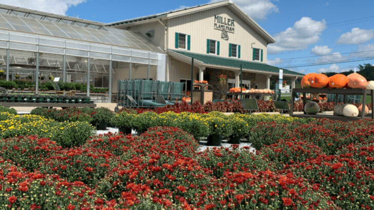 11 Pennsylvania Garden Centers and Nurseries Worth Exploring