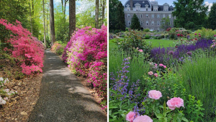 11 Pennsylvania Gardens That Feel Straight Out of a Spring Storybook This May