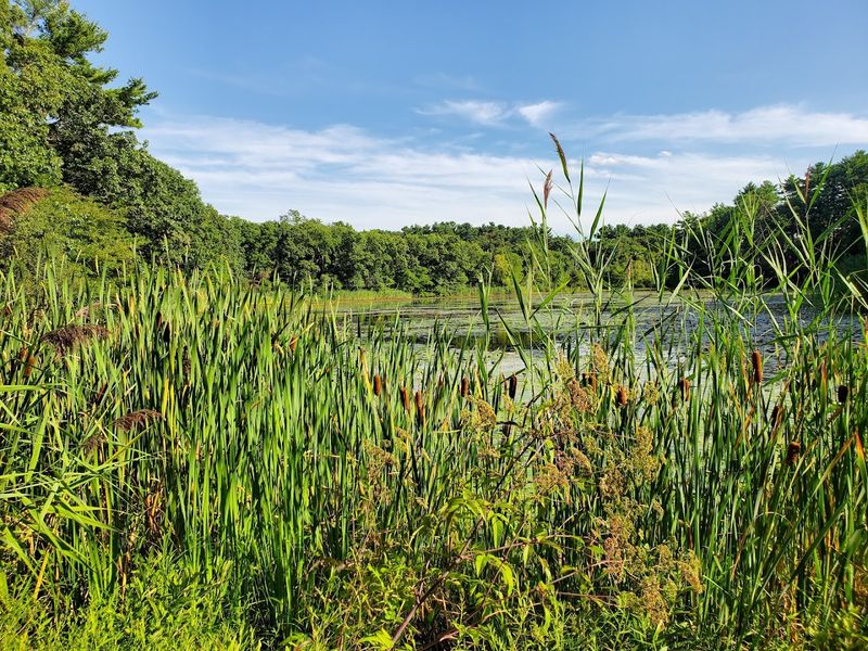 Blue Hills Reservation