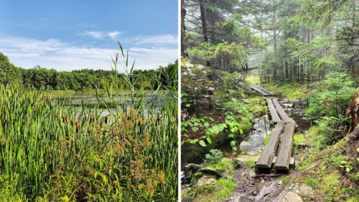 11 Scenic Massachusetts Trails Perfect for a Weekend Adventure