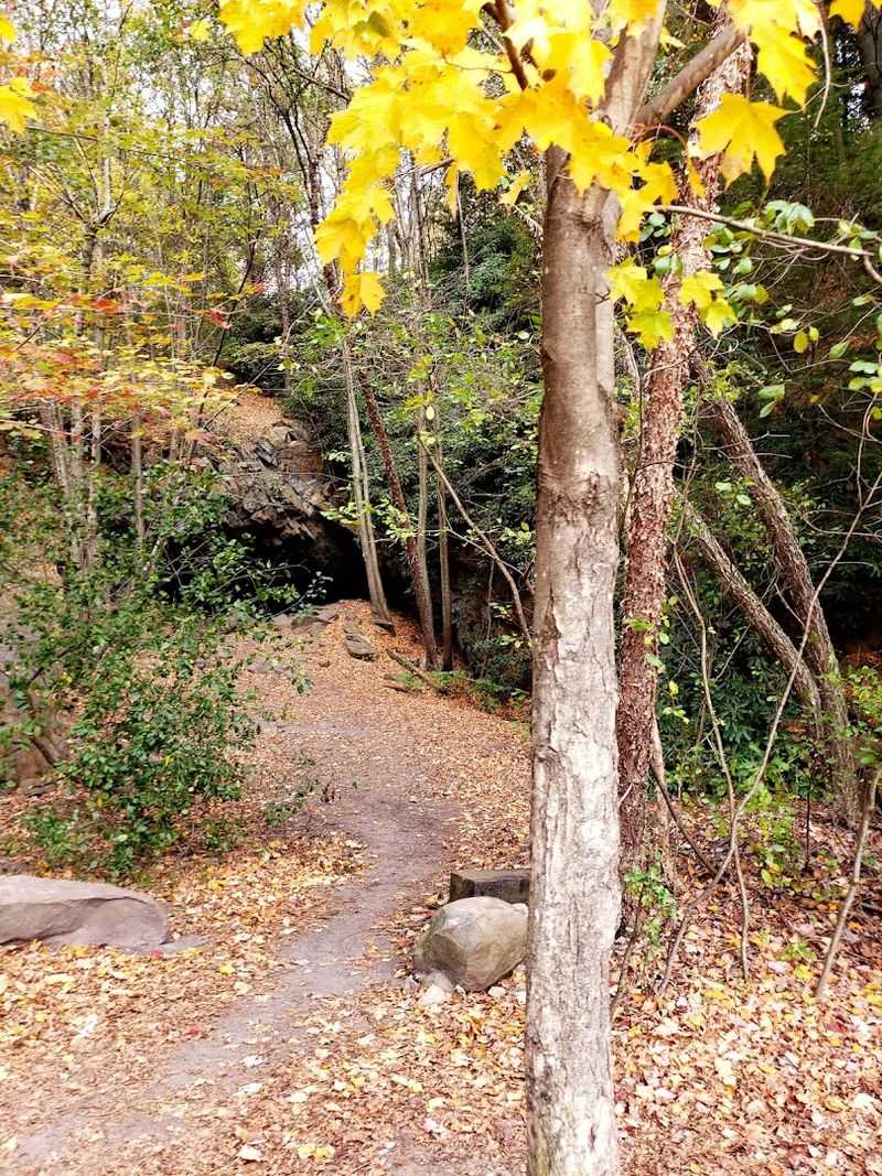 Glen Onoko Falls Trail
