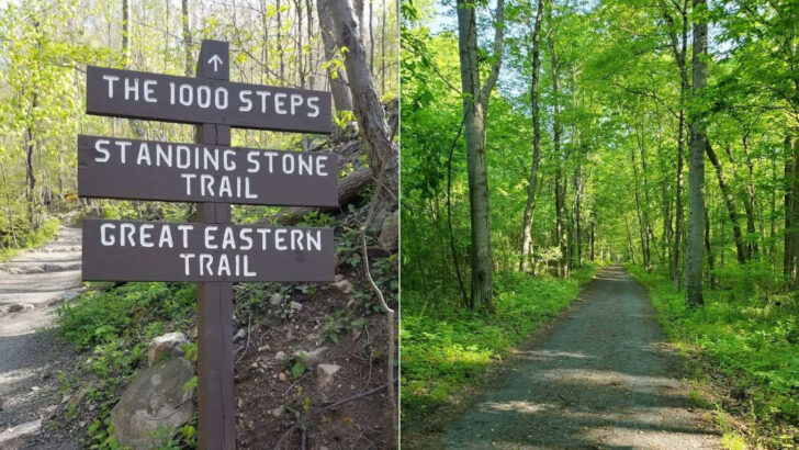 11 Scenic Pennsylvania Hiking Trails Nature Lovers Can&rsquo;t Stop Talking About