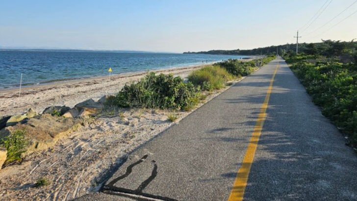 11 Scenic Rail Trails in Massachusetts Perfect For Walking And Biking Days