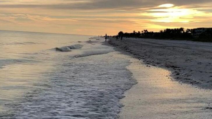 11 Simple Experiences in Florida That Somehow Feel Extra Rewarding