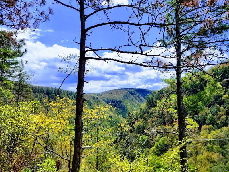 Colton Point State Park, Tioga County