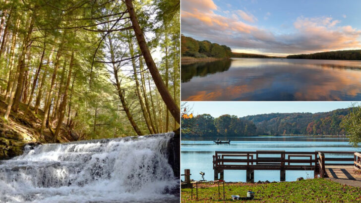 11 Underappreciated Parks in Pennsylvania That Quietly Offer Incredible Scenery