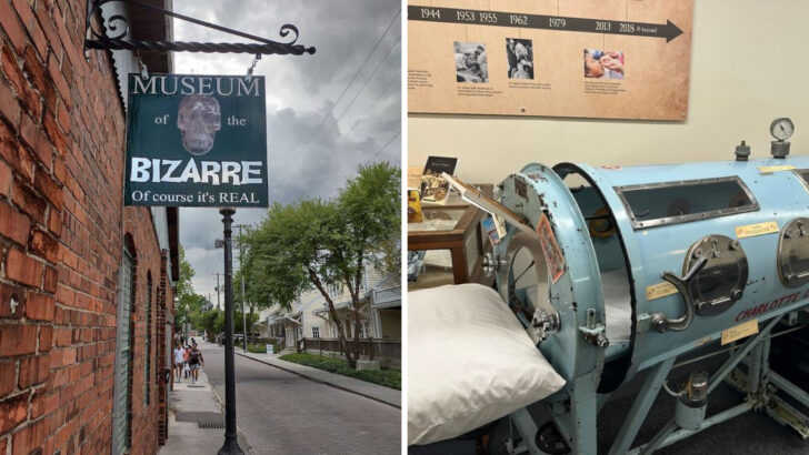 11 Unusual Museums in North Carolina Dedicated to Strange Pieces of Local History