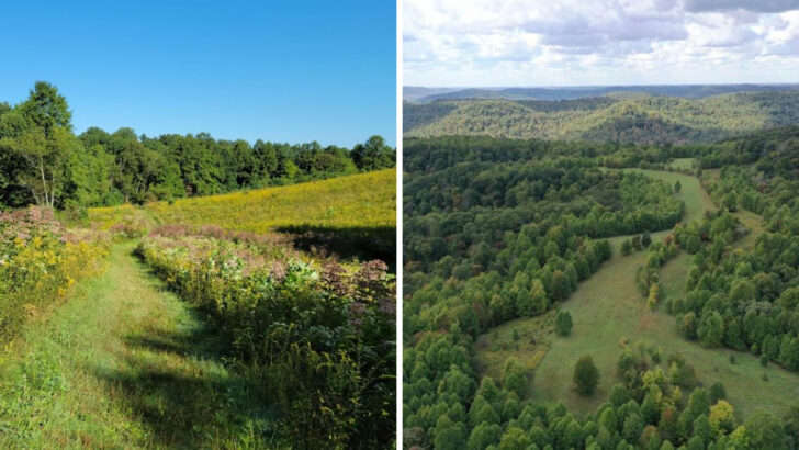 12 Best Hiking Spots Across Ohio for Every Experience Level