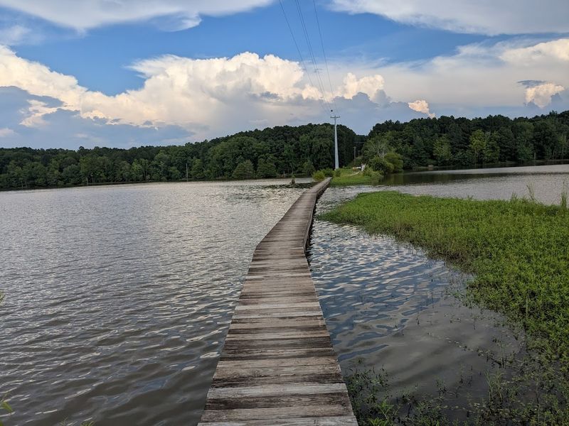 Mountains-to-Sea Trail