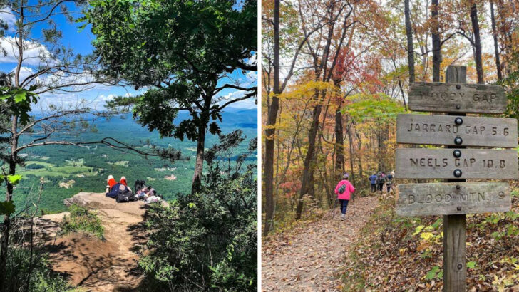 12 Best Hiking Trails in Georgia With Incredible Mountain Views