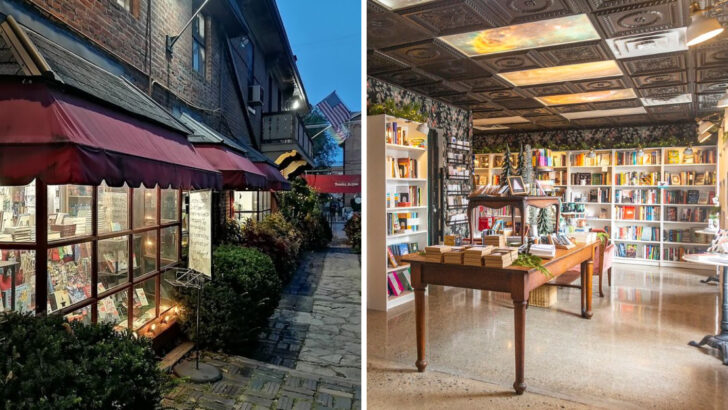 12 Cozy Bookstores in Ohio Worth Spending Time In