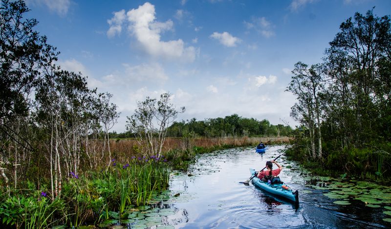 Paddle Through the Okefenokee Swamp