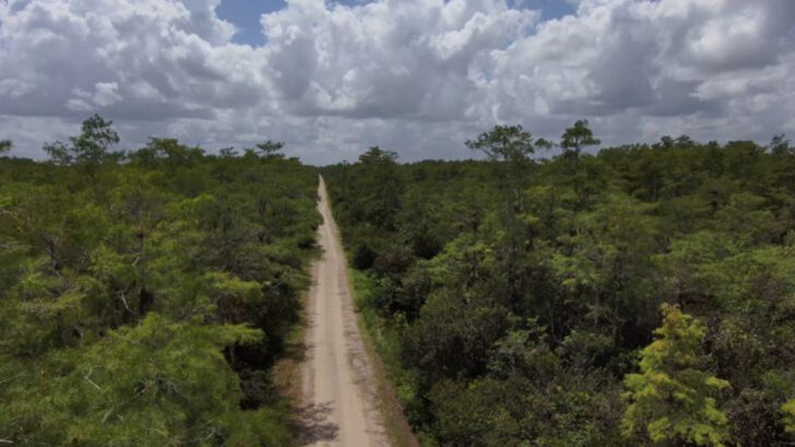12 Drop-Dead Gorgeous Roads in Florida That Will Have You Stopping Every Few Minutes