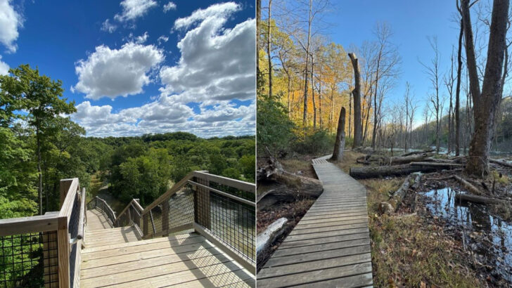 12 Easy Hiking Trails in Ohio With Waterfalls, Forest Views, and Family-Friendly Paths