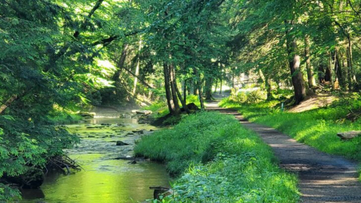 12 Enchanting Forests in Pennsylvania That Look Straight Out of a Fairytale