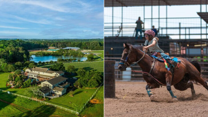 12 Family-Friendly Horseback Riding Stables Across Georgia That Make A Weekend Feel More Adventurous