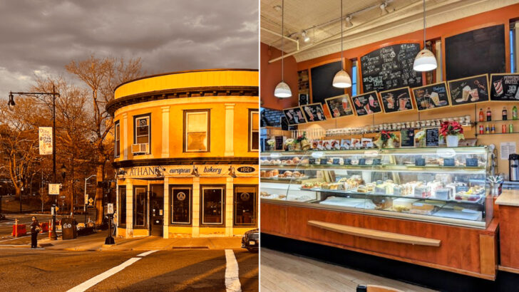 12 Family-Owned Bakeries in Massachusetts Worth The Early Morning Stop