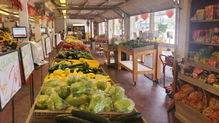 12 Florida Farmers Markets Packed With Homemade Food and Local Finds