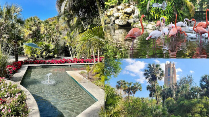 12 Florida Gardens And Flower Destinations That Burst With Color This May
