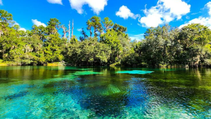 12 Florida Outdoor Attractions That Feel More Comfortable Before Summer