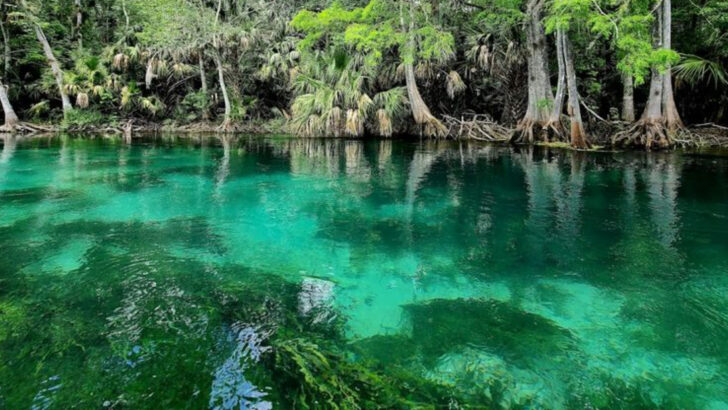 12 Florida Springs Perfect for Cooling Off on Warm May Days