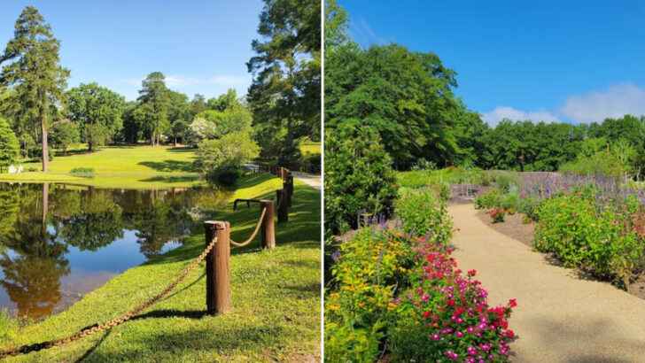 12 Georgia Botanical Gardens Perfect For A Colorful May Day Trip