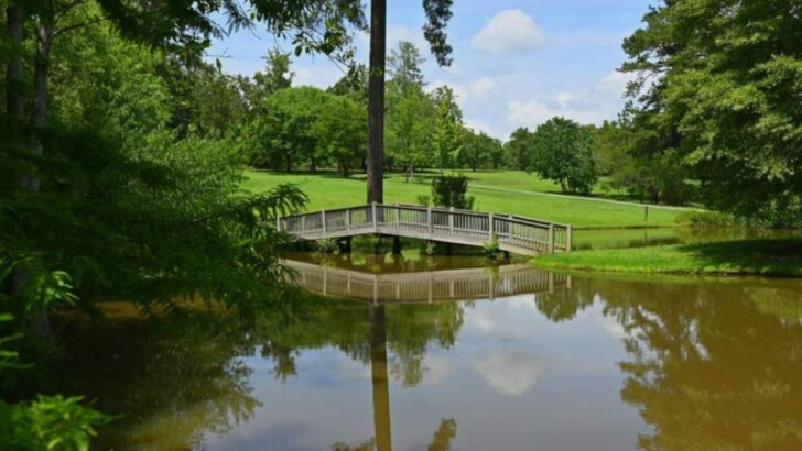 12 Georgia Botanical Gardens Perfect for a Peaceful Weekend
