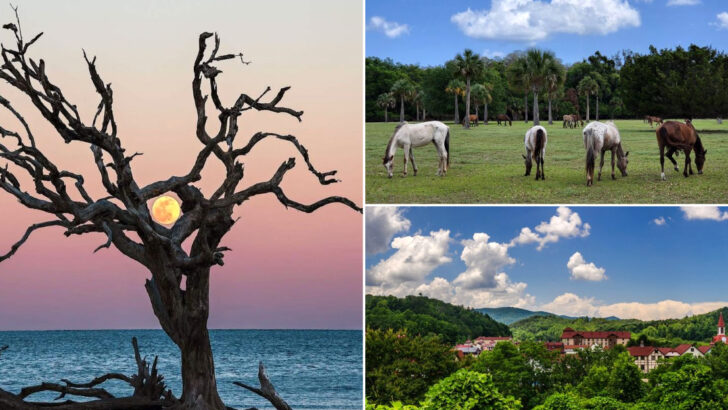 12 Georgia Bucket List Destinations That Feel Straight Out of the South&rsquo;s Best Postcards