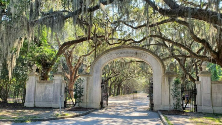 12 Georgia Experiences That Are Better In Real Life Than In Photos