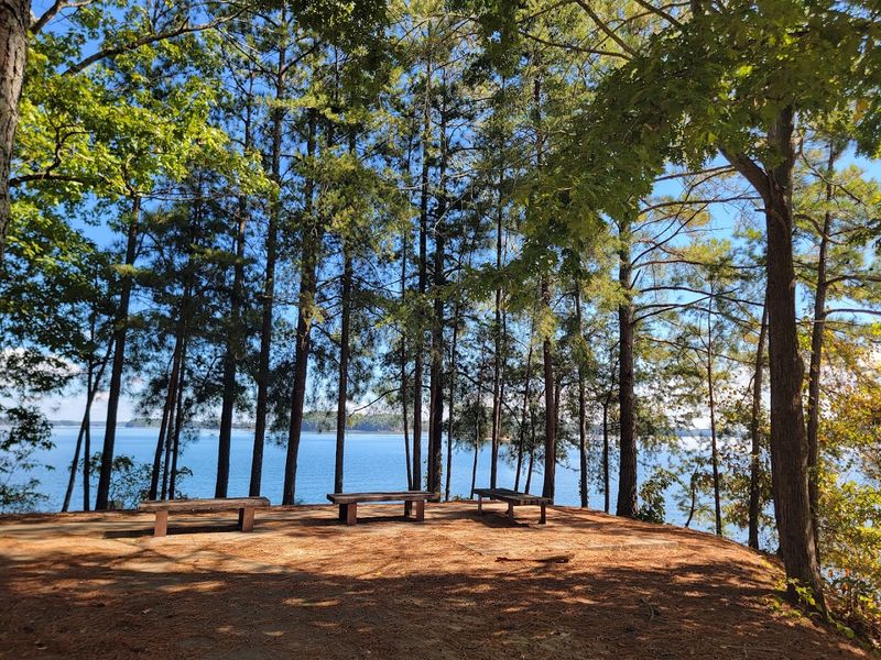 Lake Lanier - North Georgia
