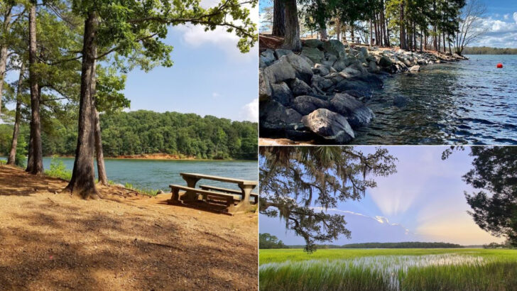 12 Georgia Parks And Lakes Perfect For Memorial Day Weekend Picnics