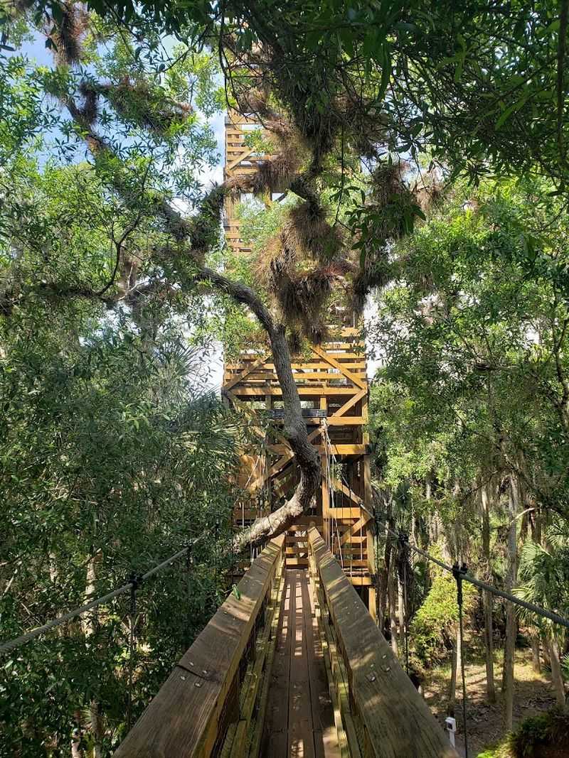Myakka River State Park &ndash; Canopy Walk & Wildlife Boardwalks