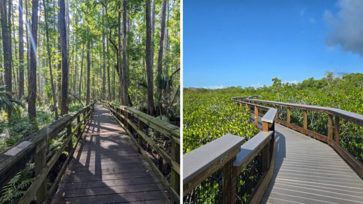 12 Kid-Friendly Florida Trails Perfect For Relaxed Weekend Adventures