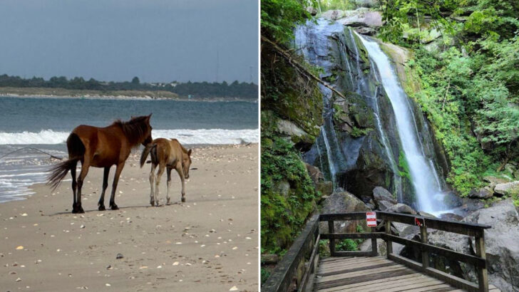 12 Local Favorites in North Carolina That Visitors Often Miss