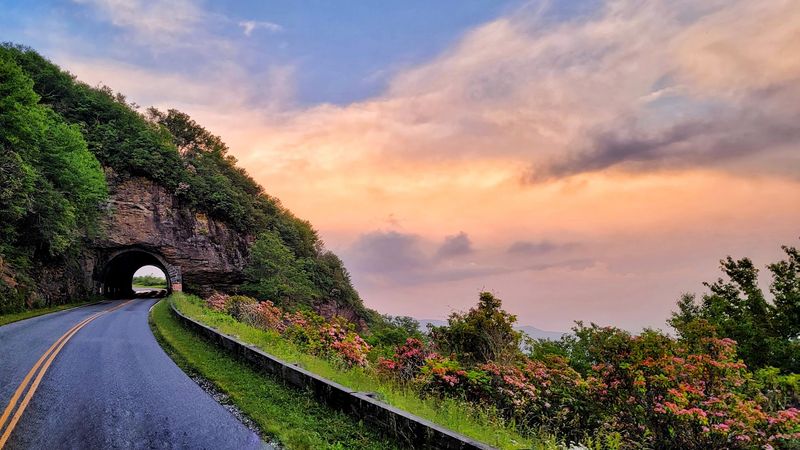 Blue Ridge Parkway Scenic Drives