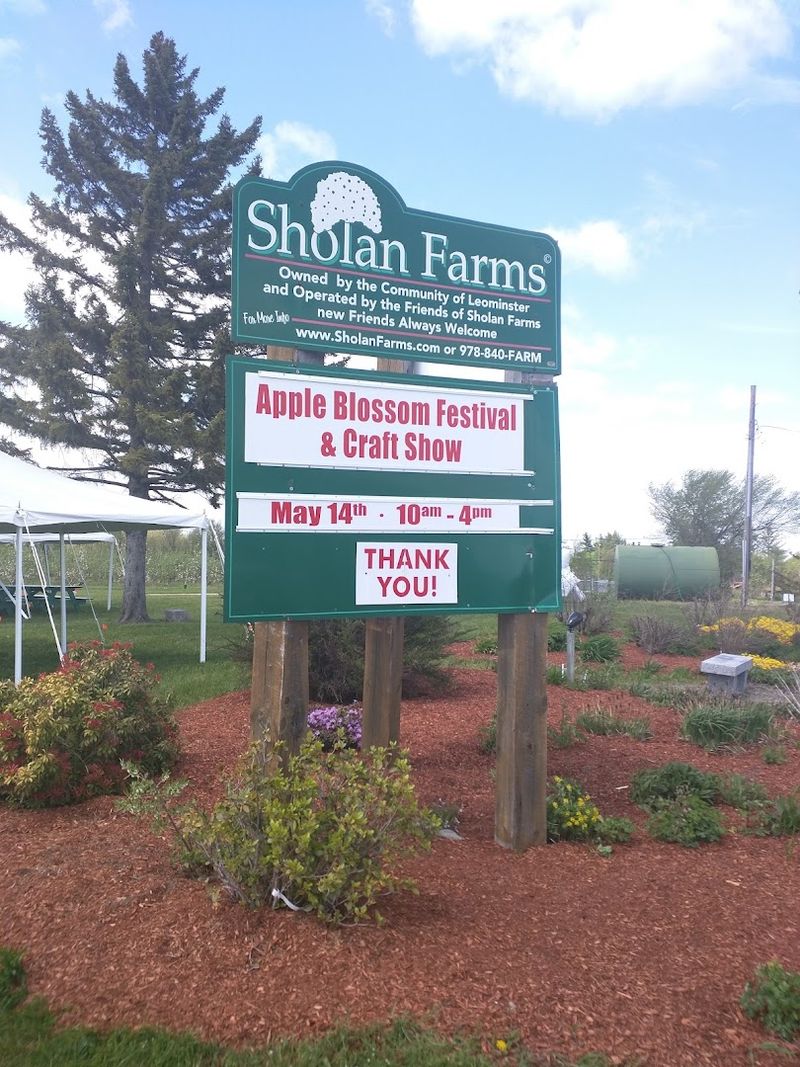 Apple Blossom Festival & Craft Show