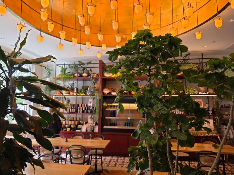 Suraya &ndash; Philadelphia