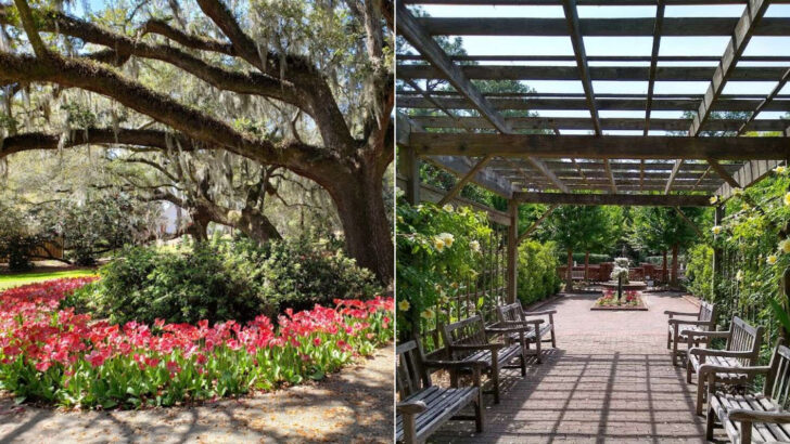 12 North Carolina Botanical Gardens Worth Visiting During Peak Bloom In May